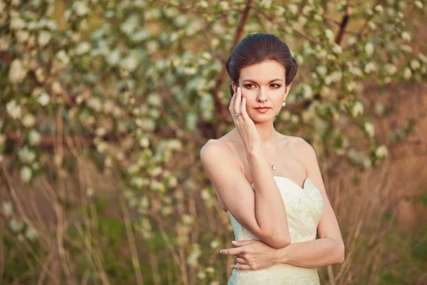 Retrato de novia beautidul — Foto de Stock