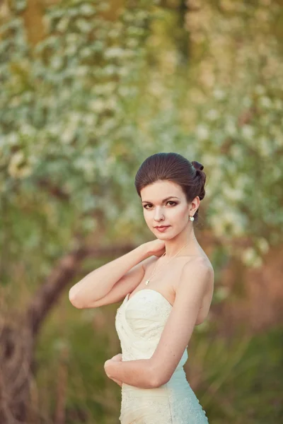 Beautidul bride portrait — Stock Photo, Image