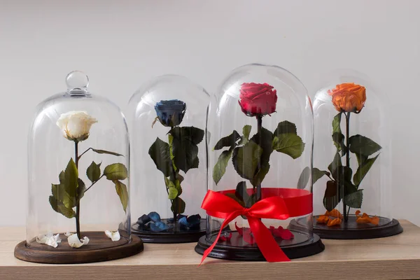 Gyönyörű rózsák, üveg villanykörte alatt — Stock Fotó