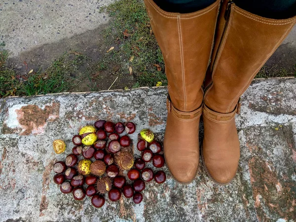 Vrouwen poten in bruine laarzen staande in de buurt van de herfst kastanje buiten, bovenaanzicht — Stockfoto