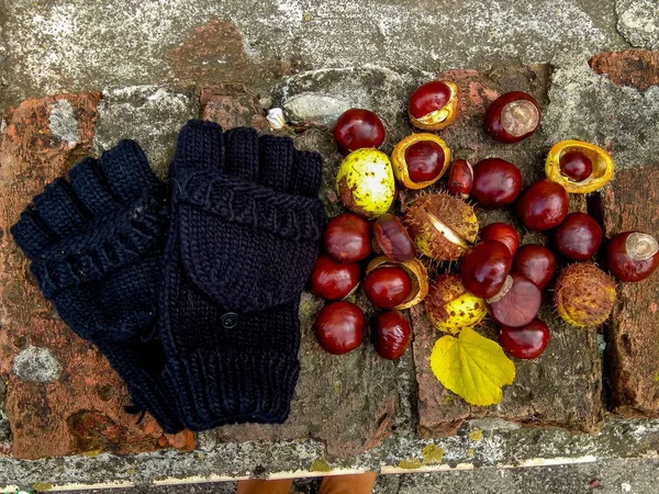 Ripe chestnuts in autumn, outdoor shoot, top view — Stock Photo, Image