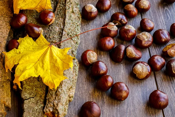 Ripe chestnuts in autumn, outdoor shoot, top view — Stock Photo, Image