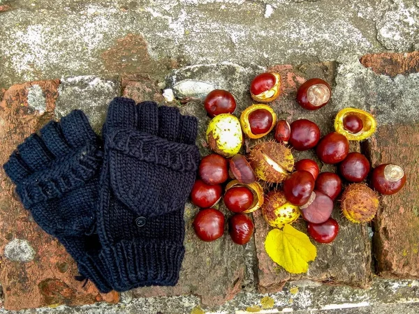 Ripe chestnuts in autumn, outdoor shoot, top view — Stock Photo, Image