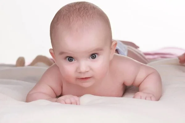 Fekvő: takarót kisfiú portréja. Aranyos kis bébi — Stock Fotó