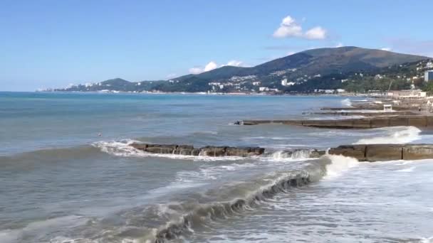 Sea shore in Sochi, Russia. — Stock Video