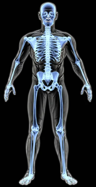 Man's body under X-rays — Stock Photo, Image