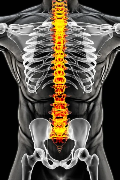 X-ışınları altında insan vücudu — Stok fotoğraf