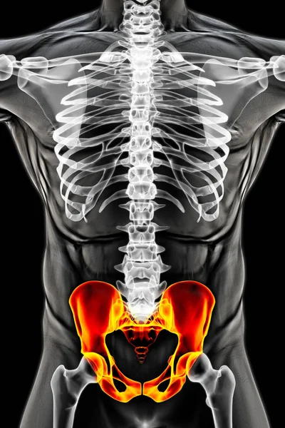 Corpo do homem sob raios-X — Fotografia de Stock