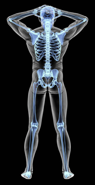 man's body under X-rays