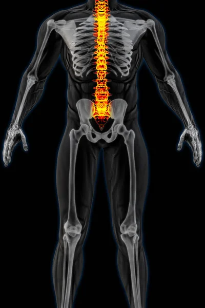 Mannelijk lichaam onder X-ray — Stockfoto