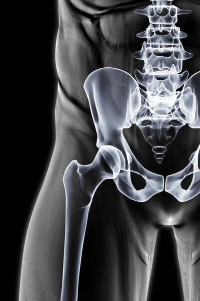 Pelvis masculina bajo la radiografía — Foto de Stock