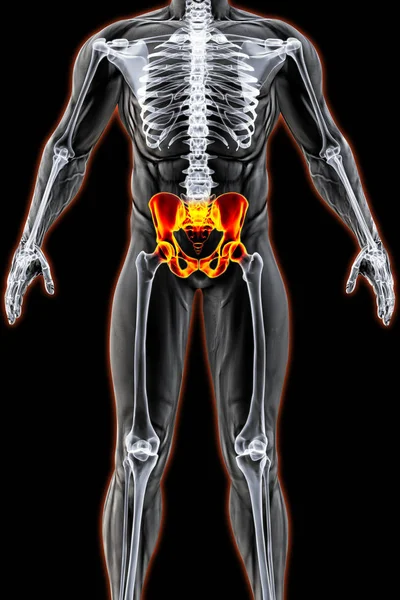 Mannelijk lichaam onder X-ray — Stockfoto