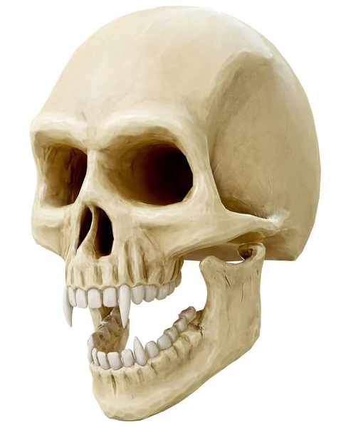 Le crâne vampire isolé — Photo