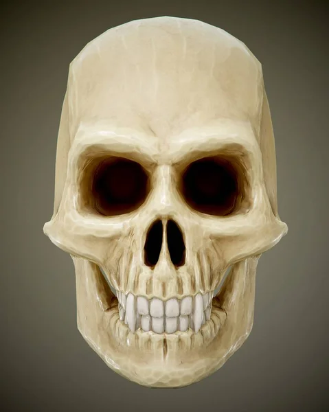 The vampire skull isolated — Stock Photo, Image