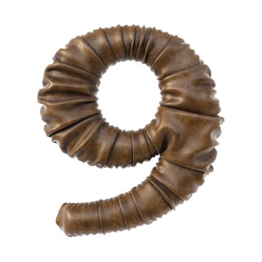 9 numara ile gerçekçi kıvrımlar beyaz arka plan üzerinde izole kahverengi deri yaptı