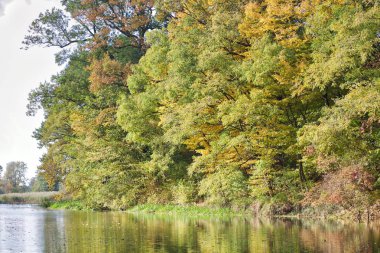 Parkta güzel, sonbahar sahne. 