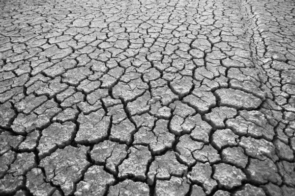 Black and white images, parched land due to drought