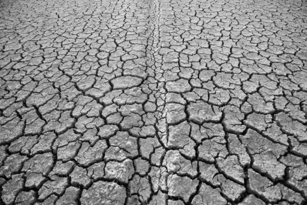 Imágenes Blanco Negro Tierra Seca Debido Sequía — Foto de Stock