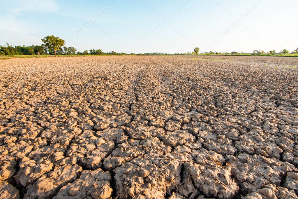 The land is cracked because of the drought of global warming and El Nio.