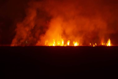Güneydoğu Asya 'da geceleri çayırlarda yangın çıkıyor.