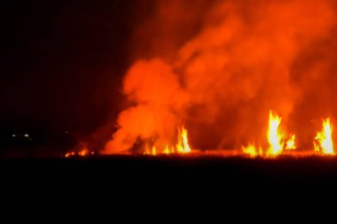 Güneydoğu Asya 'da geceleri çayırlarda yangın çıkıyor.