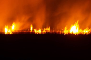 Güneydoğu Asya 'da geceleri çayırlarda yangın çıkıyor.