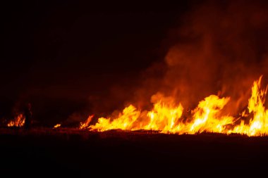 Güneydoğu Asya 'da geceleri çayırlarda yangın çıkıyor.