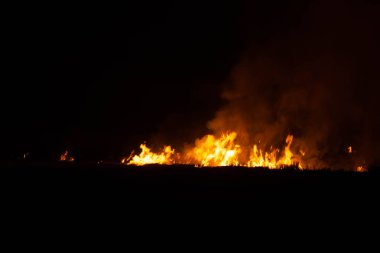 Güneydoğu Asya 'da geceleri çayırlarda yangın çıkıyor.