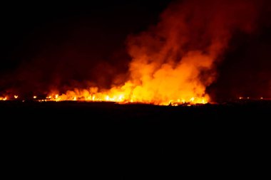 Güneydoğu Asya 'da geceleri çayırlarda yangın çıkıyor.