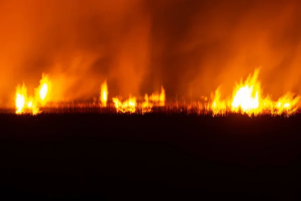 Fuego Está Ardiendo Prado Por Noche Sequía Del Sudeste Asiático — Foto de Stock