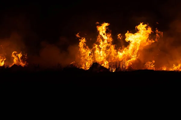 Güneydoğu Asya Geceleri Çayırlarda Yangın Çıkıyor — Stok fotoğraf
