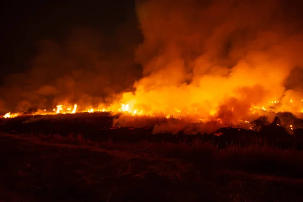 Fuego Está Ardiendo Prado Por Noche Sequía Del Sudeste Asiático — Foto de Stock