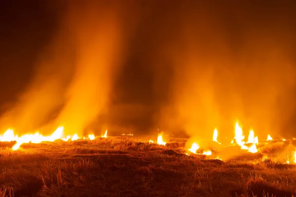 Fuego Está Ardiendo Prado Por Noche Sequía Del Sudeste Asiático — Foto de Stock