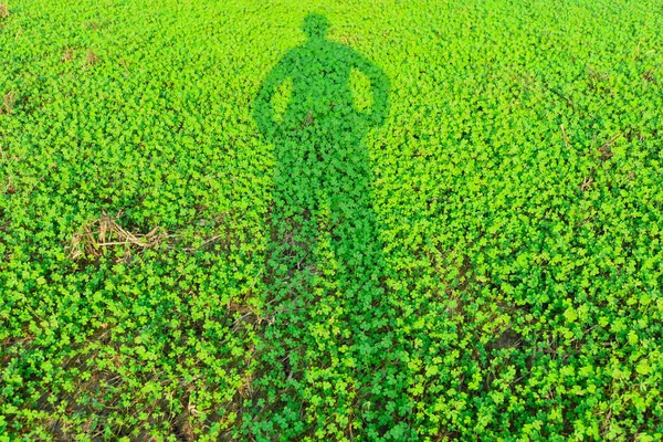 Σκιά Ενός Άντρα Στο Πράσινο Γρασίδι — Φωτογραφία Αρχείου