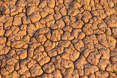Kara, hızlı su sıkıntısı nedeniyle parçalandı. Güneydoğu Asya 'da küresel ısınmanın etkisi