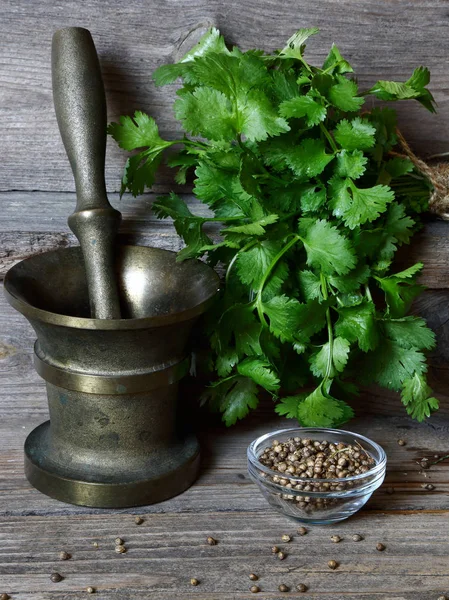 Coriander - green leaves and seeds — Stock Photo, Image