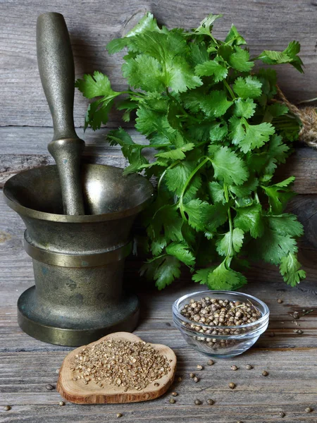 Koriander - gemalen, korrels en groene bladeren — Stockfoto