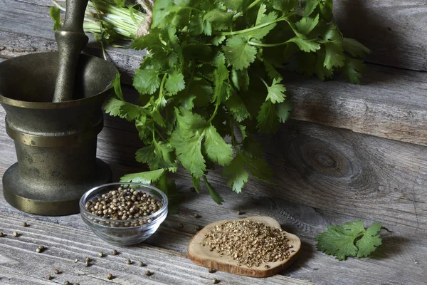 Koriander - gemahlen, Körner und grüne Blätter — Stockfoto