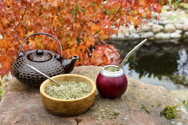 Mate čaj v tykev na kamenný stůl v zahradě — Stock fotografie
