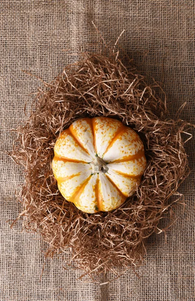 Декоративная тыква в соломе на Бурлапе — стоковое фото