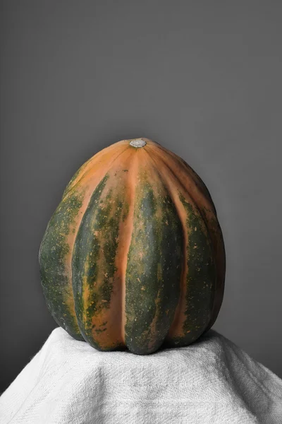 Acorn Squash Still Life — Fotografia de Stock