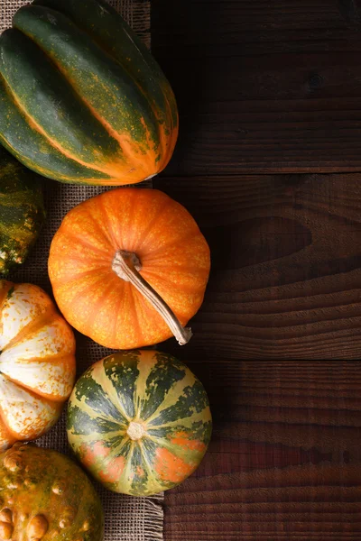 Höstens kalebasser och pumpor — Stockfoto