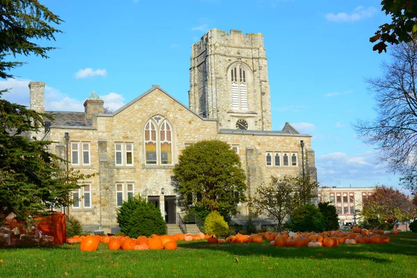 WESTFIELD, NEW JERSEY - 02 NOV 2019: Parche de calabaza en el primer — Foto de Stock