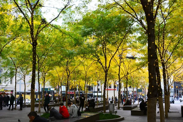 ニューヨーク、 Ny - 05 11月2019: Zuccotti Park 、照明付きの木, — ストック写真