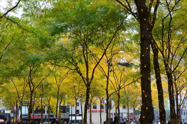 New York, Ny - 05 Kasım 2019: Zuccotti Park in the Financial Distr — Stok fotoğraf