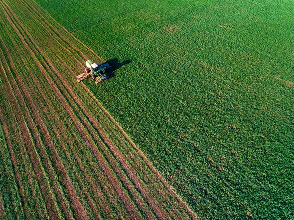 Tractor mowing green field — Stock Photo, Image