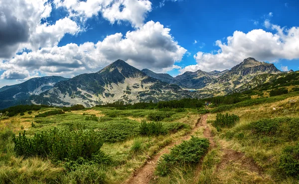 Pico de montaña y hermoso prado verde —  Fotos de Stock