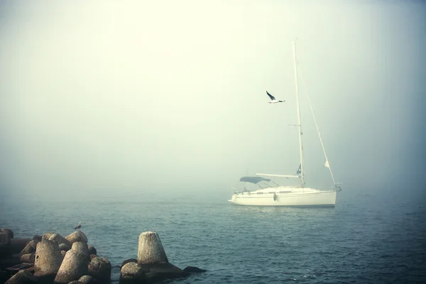 Plachetnice v mlhavé moře v klidu brzy ráno — Stock fotografie