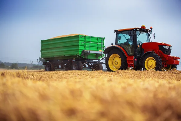 Farmář jízdy zemědělský tahač a návěs, které jsou plné obilí — Stock fotografie