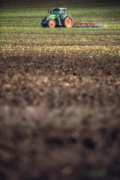 Agricultor em trator preparando terra com cultivador de mudas — Fotografia de Stock